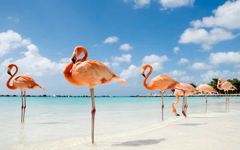 Aruba Gezilecek Yerler